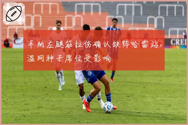辛纳左腿筋拉伤确认缺阵哈雷站,温网种子席位受影响