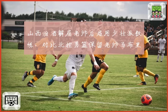 山西汾酒解雇老帅后启用少壮派教练,对比北控男篮保留老帅马布里押注经验