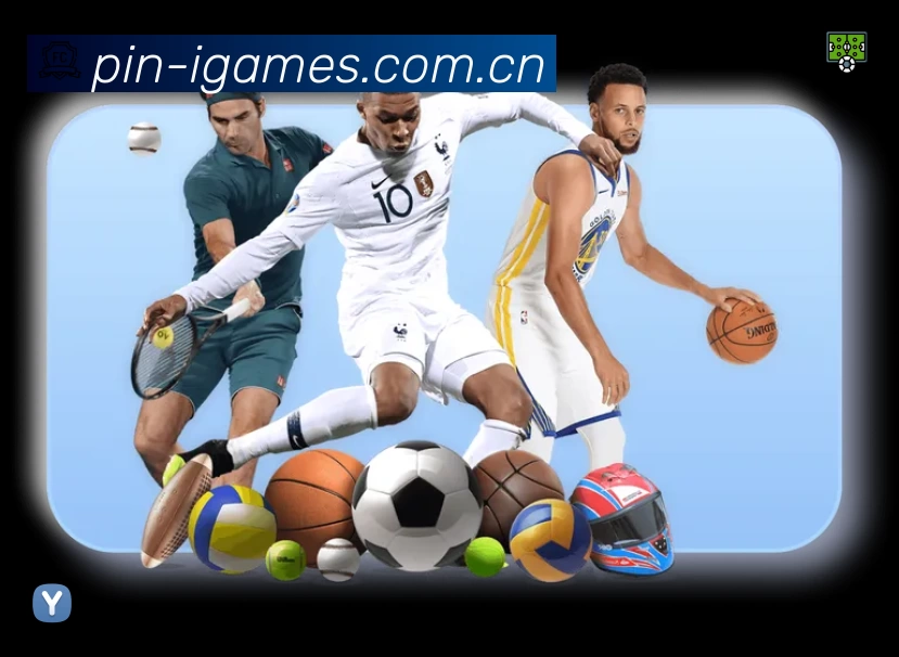 安全使用与支持流程